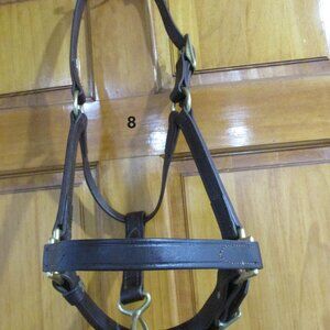NWOT Walsh Leather Halter Cob/ Pony Size